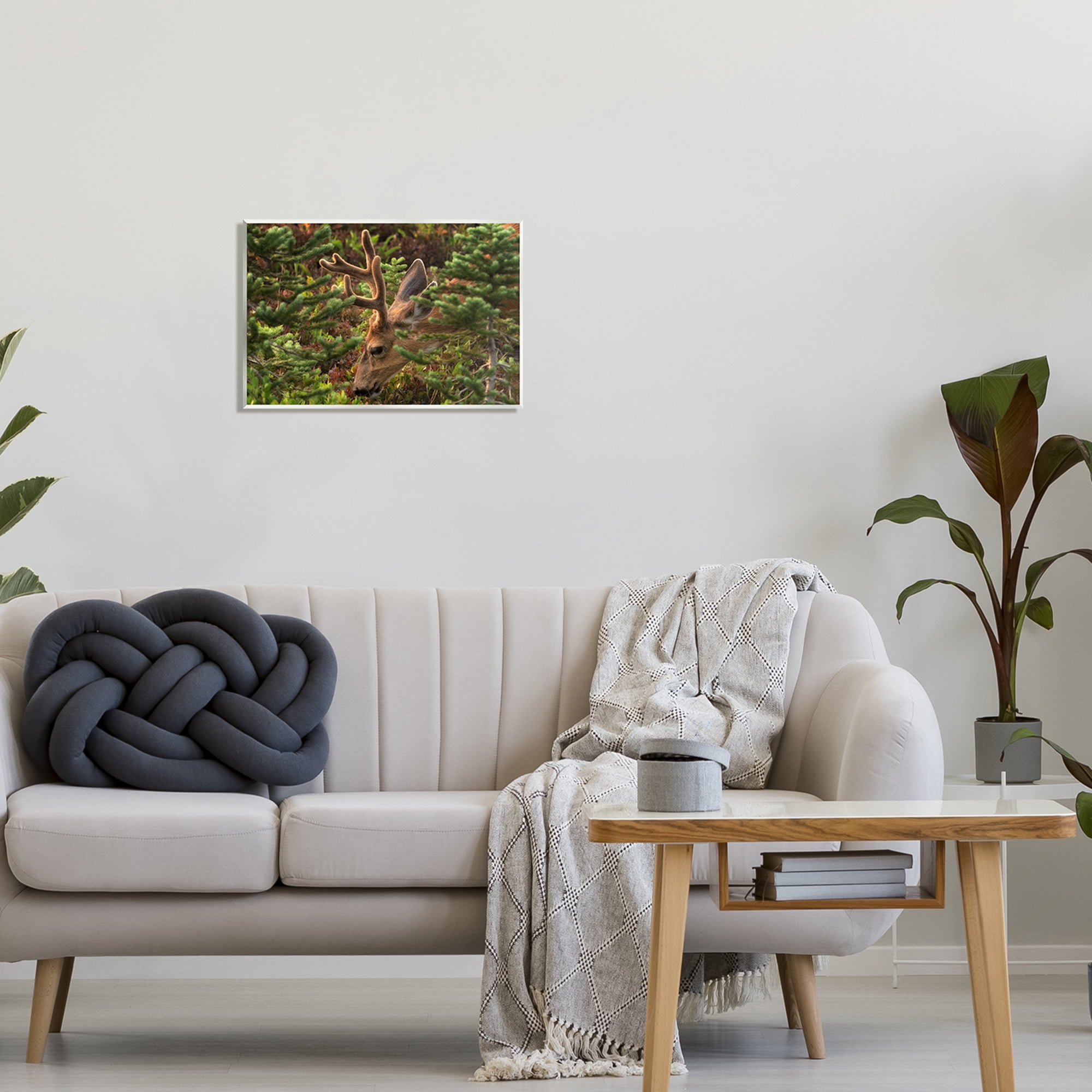 Stupell Industries Deer Forest Nature Vegetation Animals & Insects Photography Unframed Art Print Wall Art