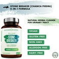 Stone Breaker Chanca Piedra Natural Dissolver for Kidney & Gallbladder Detoxify Urinary