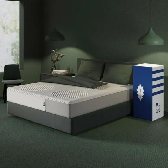 Queen Mattress with Natural Latex, Medium Plush, Dark Green