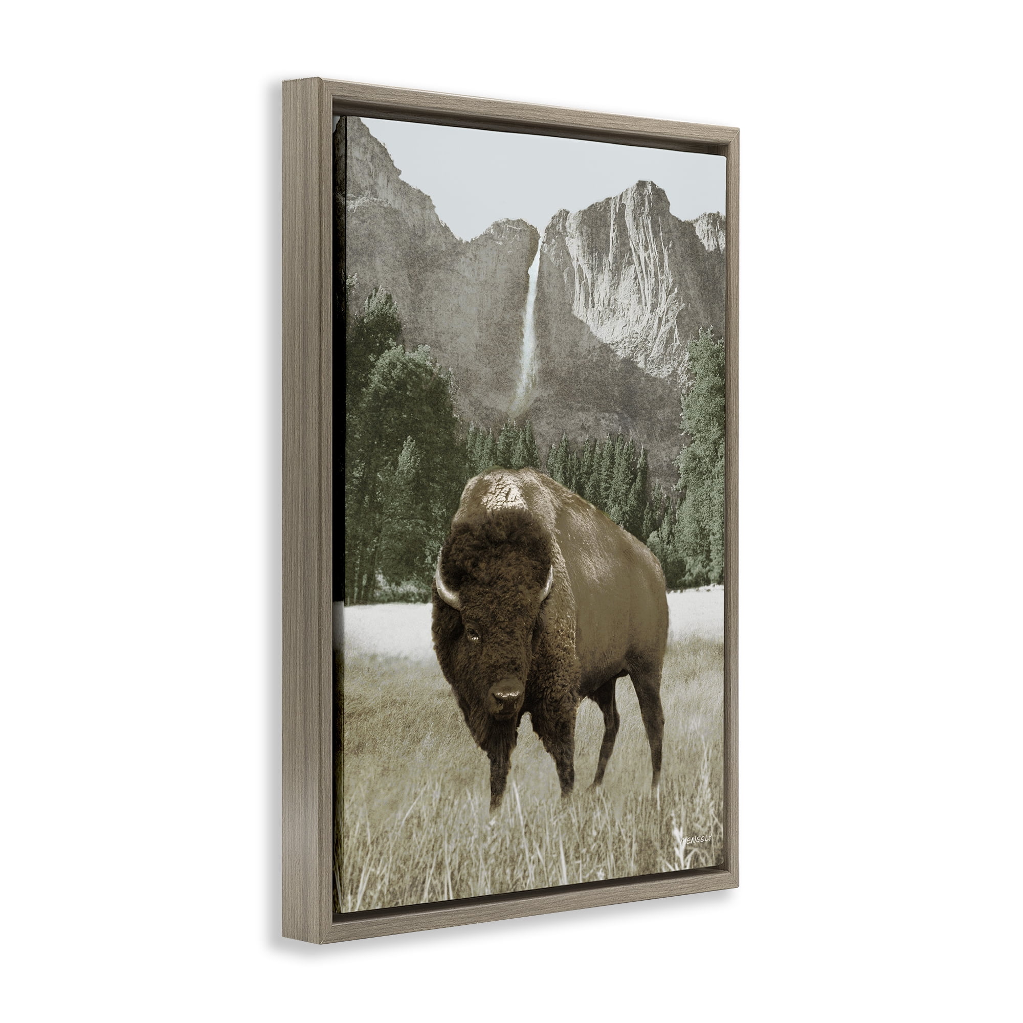 Stupell Industries Bison & Mountain Landscape Animals & Insects Photography Brown Floater Framed Canvas Art Print Wall Art, 21 x 31