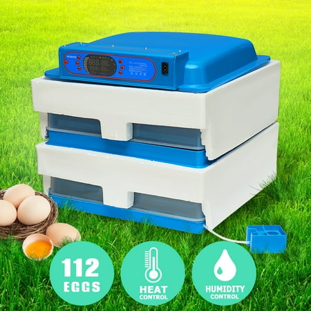 Best thermostat for egg incubator