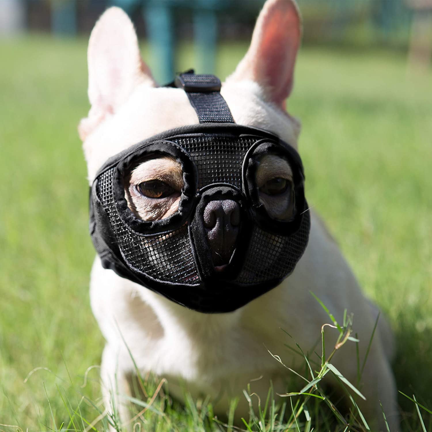 Short Snout Dog Muzzle Adjustable Breathable Mesh Bulldog Muzzle for