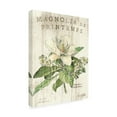 thumbnail image 3 of Trademark Fine Art Sue Schlabach Magnolia De Printemps Canvas Wall Art - 18x24, 3 of 5