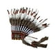 thumbnail image 5 of Tocado de plumas artificiales, tocado de disfraz de jefe para cosplay, disfraces, 5 of 9