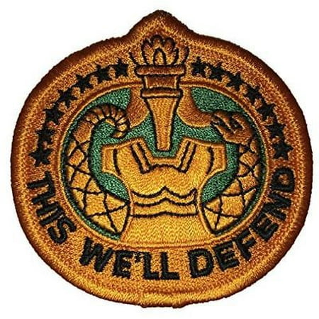 US ARMY DRILL SERGEANT PATCH THIS WE WILL DEFEND TRAIL HAT BASIC TRAINING (Best Drill Sergeant Cadence)