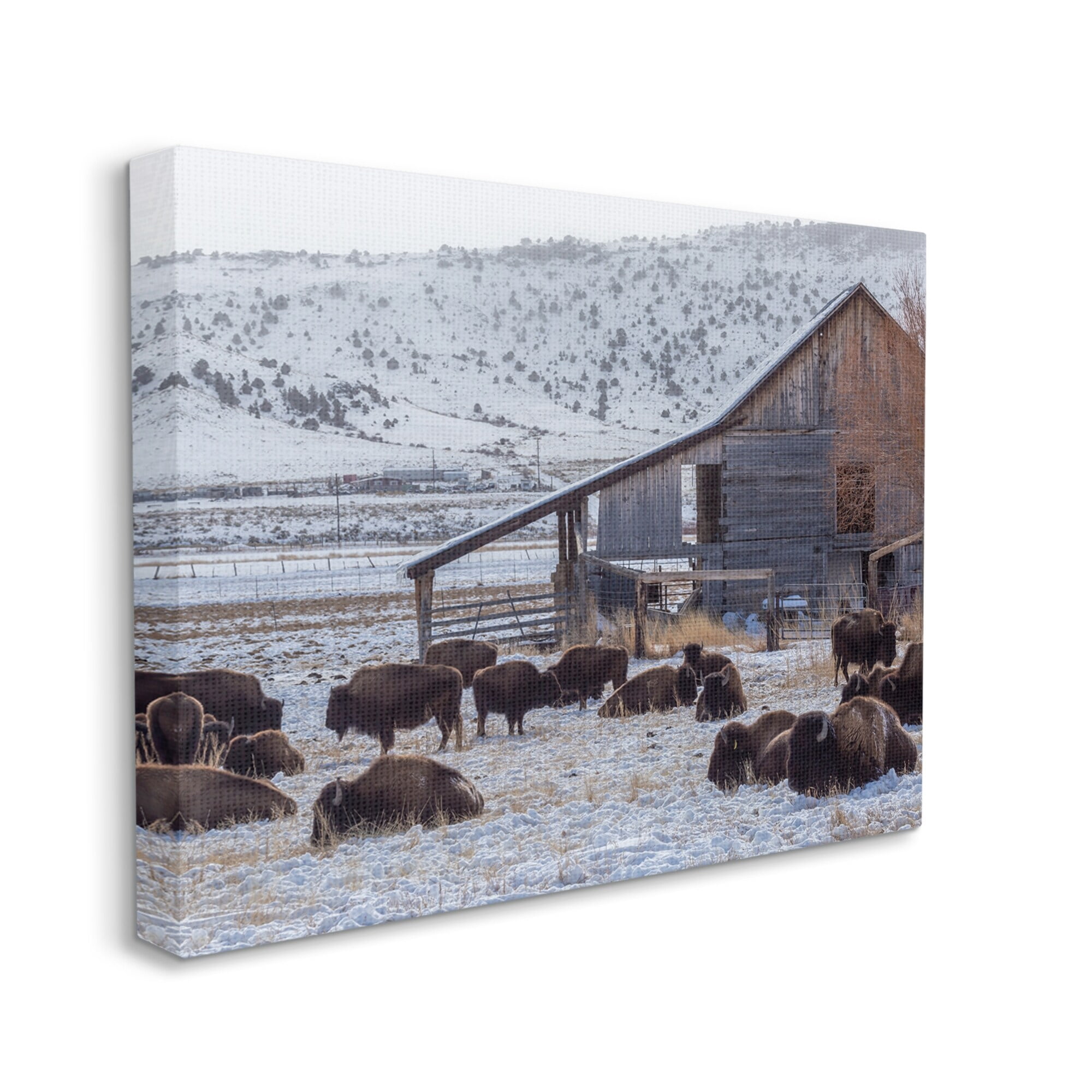 Stupell Industries Grazing Rural Bison Snowy Farmland Barn Scenery Photograph Gallery Wrapped Canvas Print Wall Art, Design by Jeff Poe Photography