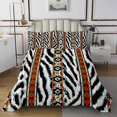 thumbnail image 1 of Erosebridal Geometry Rectangle Coverlet Set Twin, Tribal Aztec Bedding Set, Zebra Print Animal Bed Set, Lightweight Bedroom Decorative, 2pcs, 1 of 5