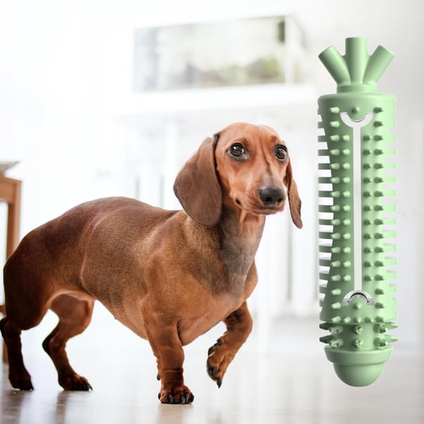 Juguetes para masticar perros Salvador para masticadores agresivos palos de dentición para cachorros de viaje VERDE