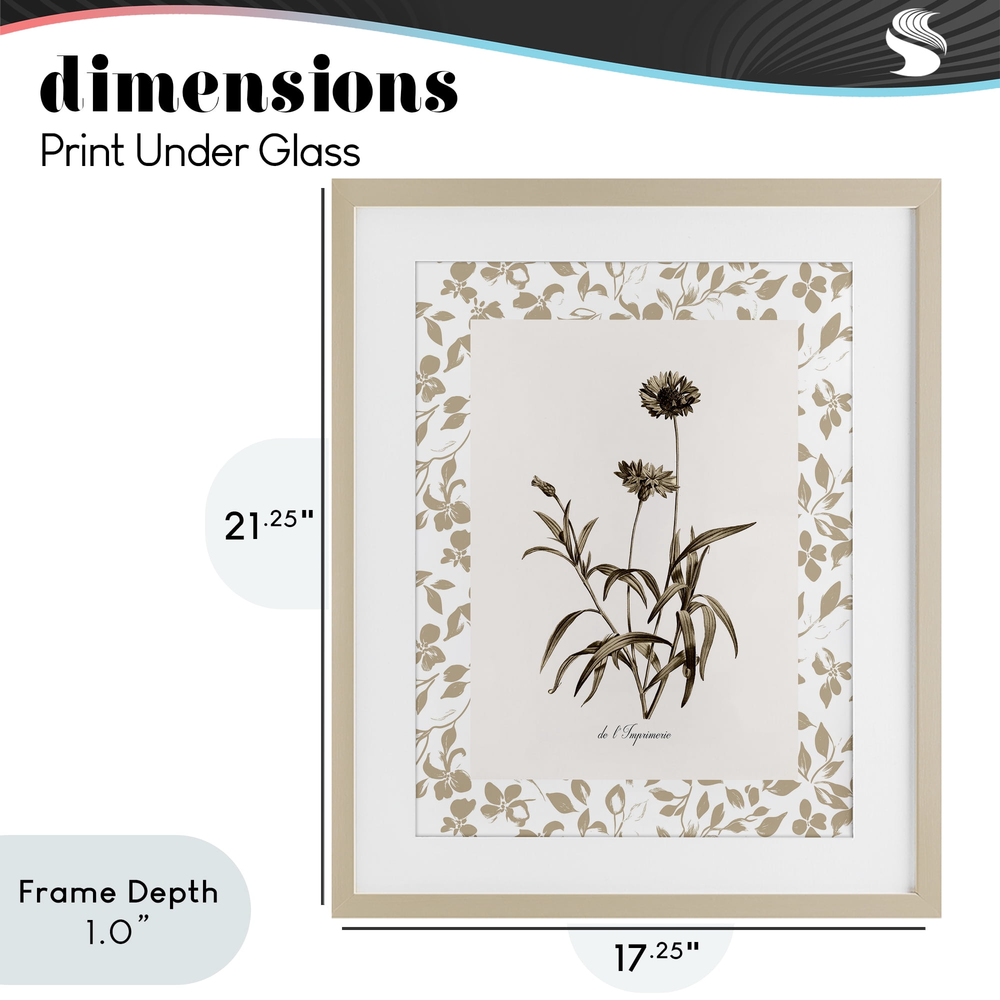 Stupell Industries Neutral Imperial Flowers Birch Framed Print Under Glass, design by Kelly Donovan