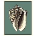 thumbnail image 3 of Vision Studio 20x24 Black Modern Framed Museum Art Print Titled - Oceans Treasure I, 3 of 5
