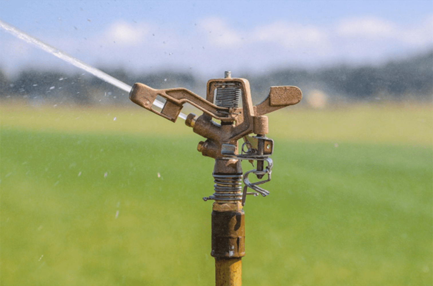 Rain Bird 85EHD Tough Bird 1-1/4" Impact Sprinkler Adjustable Rotor Less Nozzle