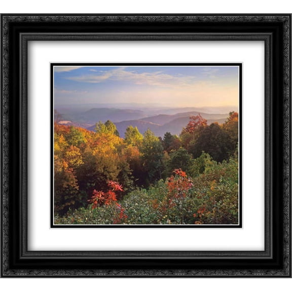 Deciduous forest in autumn, Blue Ridge Mountains from Doughton Park, North Carolina 2x Matted 22x20 Black Ornate Framed Art Print by Fitzharris, Tim