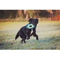 thumbnail image 4 of Juguete para Mascotas Chuckit! Max Glow Zipflight Mediano 22 cm Paquete de 2, 4 of 7