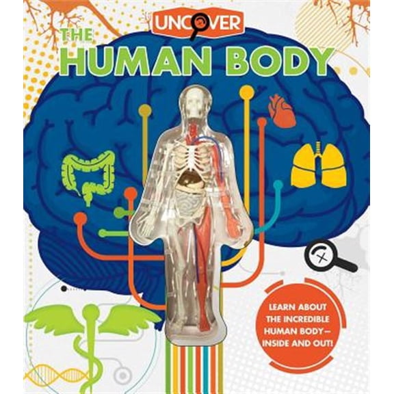Pre-Owned Uncover the Human Body Hardcover