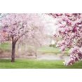 thumbnail image 2 of BSDHOME Polyester 7x5ft Photography Backdrop Spring Landscape Pink Flowers Tree Photo Background Backdrops for Photography Photo Shoots Party Adults Kids Wedding Personal Portrait Photo Studio Props, 2 of 4