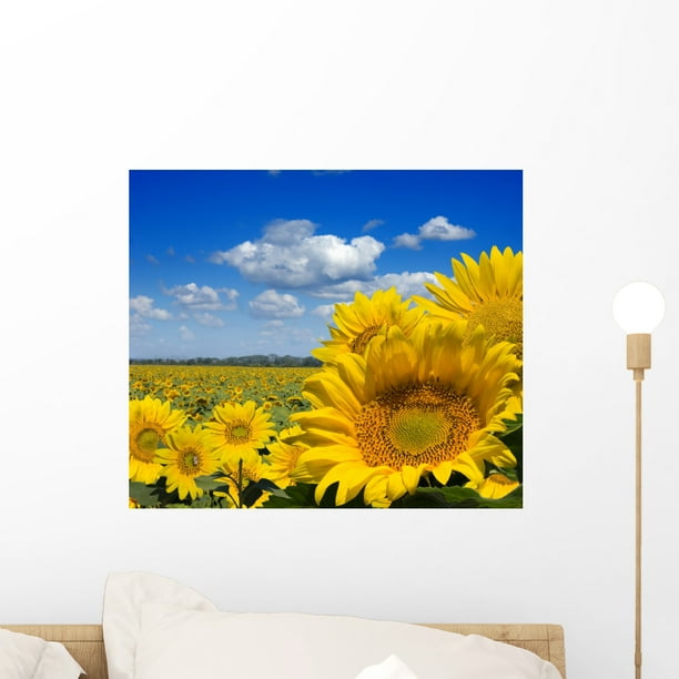 Sunflower Field Wall Mural by Wallmonkeys Peel and Stick Graphic (18 in