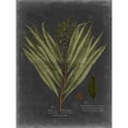 thumbnail image 3 of Vision Studio 12x14 Black Modern Framed Museum Art Print Titled - Foliage Dramatique II, 3 of 5
