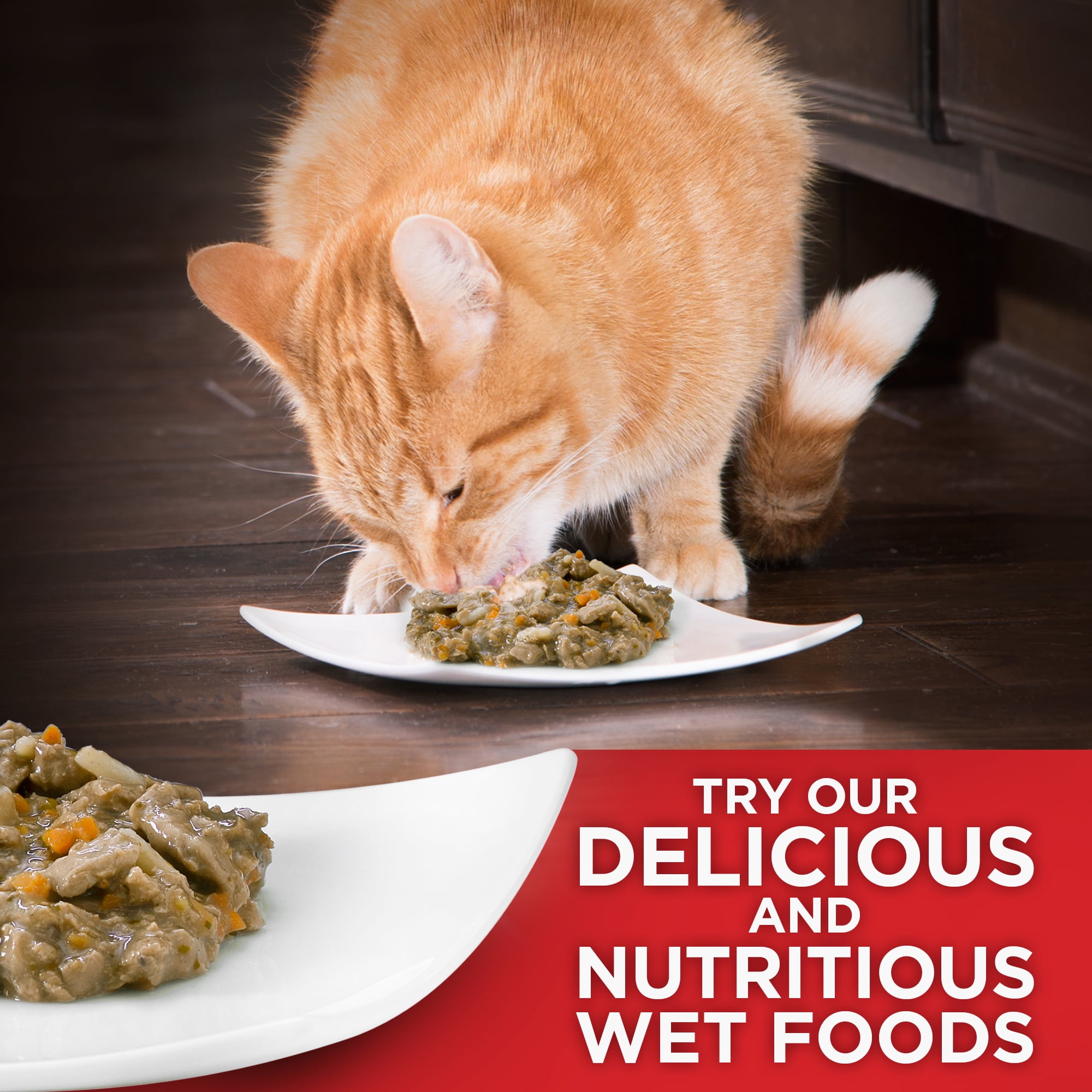 Most nutritious wet cat food best sale