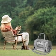 thumbnail image 7 of Portable Pet Outing Handbag, Foldable Breathable Transparent Pet Carrier Shoulder Straddle Bag for Small Dogs Cats 17.32x10.24x11.42 Inch Gray, 7 of 7
