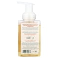 thumbnail image 2 of South of France Foaming Hand Wash With Hydrating Organic Agave Nectar Orange Blossom Honey, 8 Oz, 2 of 4