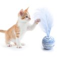 thumbnail image 3 of Cat Toy Interactive Artificial Feather Pet Ball Cat Fetch Ball Cat Teaser Toy, 3 of 10