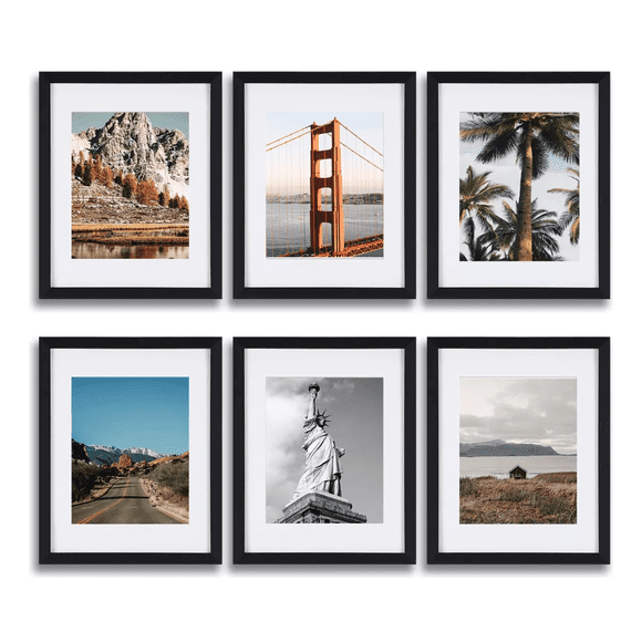 6 Piezas Cuadros Decorativos Diseño de Plantas Negro