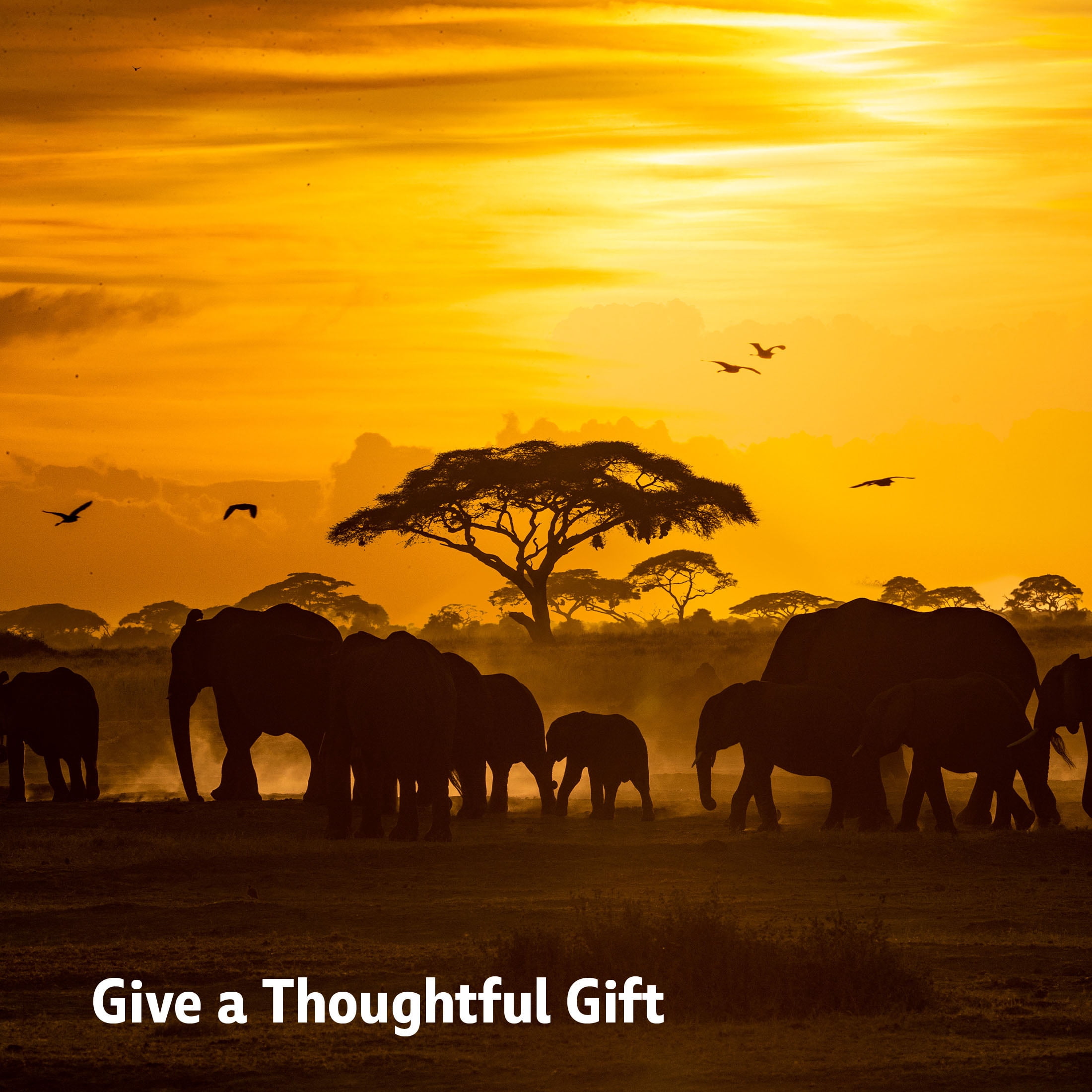 WORLD WILDLIFE FUND VGC ($25-$250) eGift Card [Email Delivery]