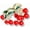 Big cherry, variant on Rhinestone Cute Cherry Fruit Brooch Pin for Women Gold Plated Red Enamel Cherry Brooches Lapel Pins Dainty Dress Accessories Jewelry Gift
