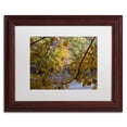 thumbnail image 2 of "Brilliant Ohio Autumn" Canvas Art by Kurt Shaffer, White Matte, Wood Frame, 2 of 5