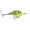 Firetiger, variant on Rapala DT 6 Crankbait Pearl Gray Shiner