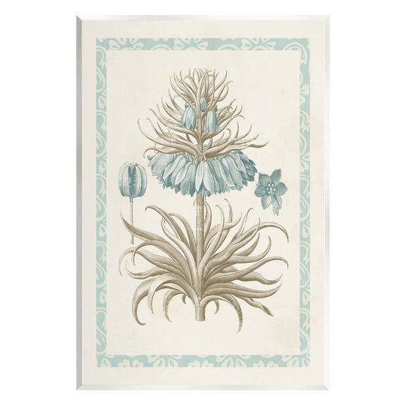 Stupell Industries Vintage Detailed Flower Study Graphic Art Unframed Art Print Wall Art, Design by Vision Studio