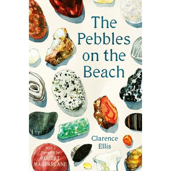 Pre-Owned The Pebbles on the Beach (Paperback) 0571347932 9780571347933