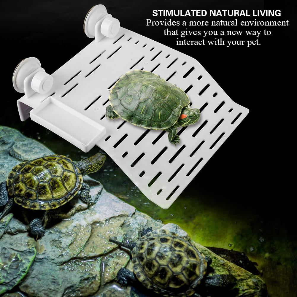 Ccdes Aquarium Platform, Tortoise Island,Aquarium Tortoise Platform