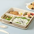 thumbnail image 5 of SLYNSHome Clearance Take Out Food Containers - 4 Compartments - Disposable - Paper Lunch Box with Lids - Eco-Friendly Biodegradable, 5 of 6
