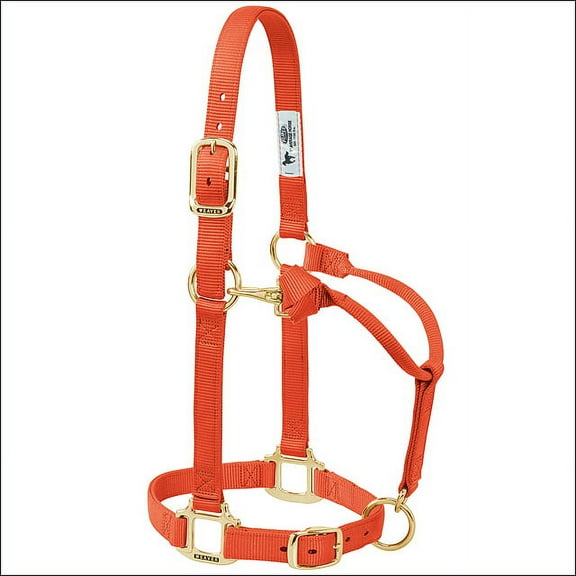 Weaver Leather Horse Halter: Adjustable Nylon for Comfort & Durability Orange / Small Horse