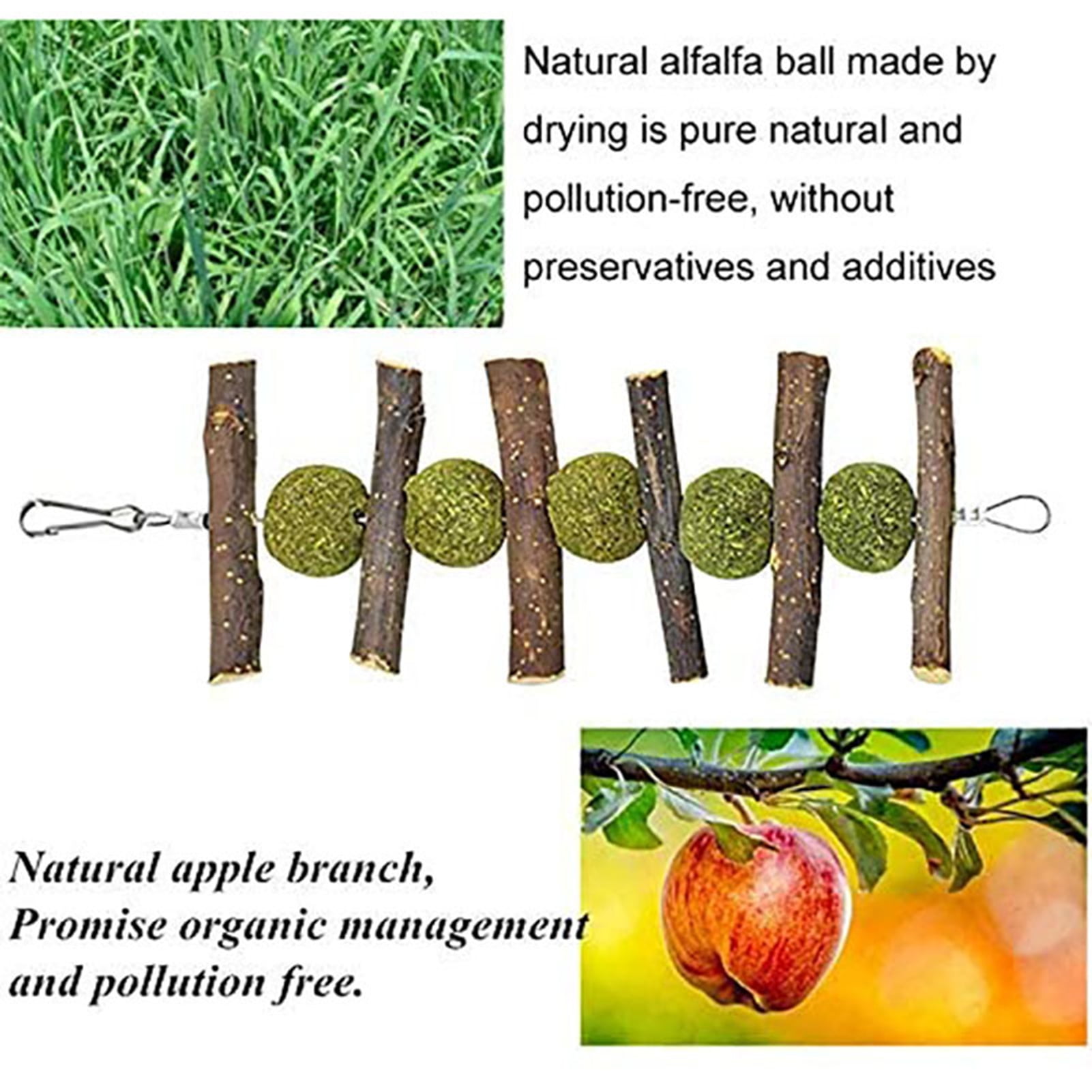 DOPI 6Pcs Bunny Toys Carrot Pine Cones Balls Natural Wood Molar Toys Hamster Play Chew Toys Pet Toys