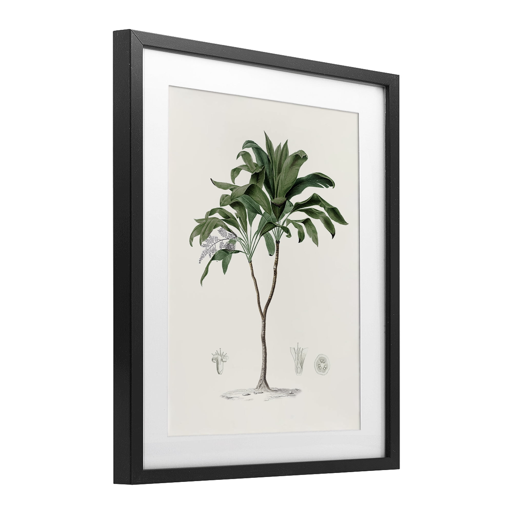 Stupell Industries Coastal Palms Vintage Black Framed Print Under Glass, design by Val Rhodes
