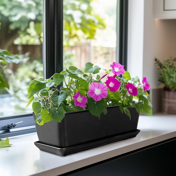 EPFamily 10inch Black Ceramic Succulents Planter with Drainage & Saucer for Indoor Plants