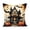 D, variant on erdimoy 4 Pack Halloween Owl Black Cat Witch Haunted Mansion Throw Pillow Covers, 17.72 Inch Pumpkin Bat Ghost Cushion Cases, Spooky Fall Sofa Porch Home Decor