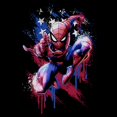 thumbnail image 2 of Mens Marvel: Spider-Man American Pose T Shirt, 2 of 5