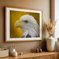 thumbnail image 5 of North American Bald Eagle in profile - Photography Wildlife Bird Animal Nature Portrait Patriotic Unframed Wall Art Print 32 x 48 inches, 5 of 7