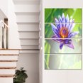 thumbnail image 1 of Huge Purple Lotus on Green Background - Large Flower Canvas Art Print, 1 of 3