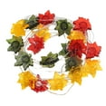 thumbnail image 1 of Christmas Lights 50 Count Wire Battery Operated String Lights Indoor Battery Small Christmas Bulbs Icicle Lights outside Christmas Lights Indoor Warm 50 Count Style Fall Festivities: 4 In 1 3 Meter, 1 of 3