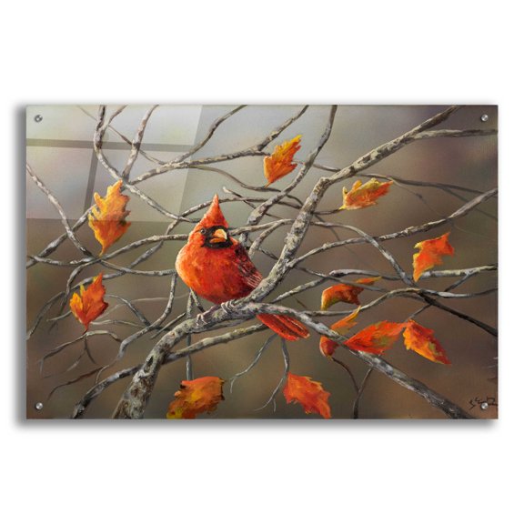 Epic Art 'Fall Cardinal' by Sarah Davis, Acrylic Glass Wall Art, 36"x24"