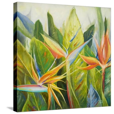 Art.com Bird of Paradise I Stretched Canvas Print Wall Art by Patricia Pinto, 24" x 24"