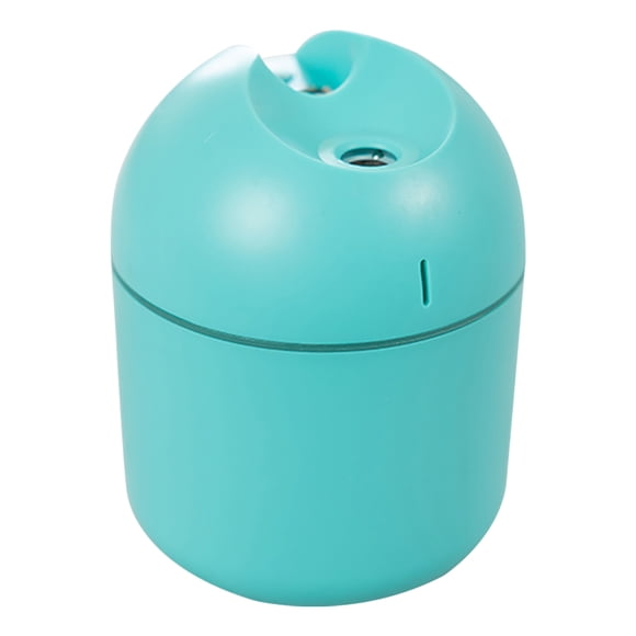 Humidificador 2 en 1 Wosthever para escritorio dormitorio interior difusor de aire 250ml Verde 10 palitos