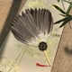 thumbnail image 1 of de Plumas Chino Antiguo Zhuge Liang, de Mano de Plumas, de Plumas Versátil Portátil Decorativo para Hombres para Bailar Estilo F, 1 of 8