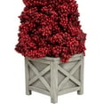 thumbnail image 5 of Allstate Floral 2 FT Red Berry Cone Potted Christmas Topiary, 5 of 5