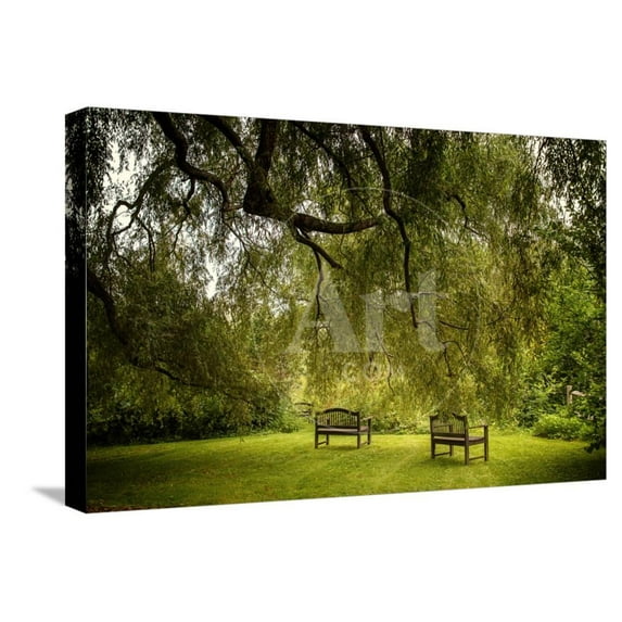 Rural Scene with Garden Benches under a Large Willow Tree, Stretched Canvas Wall Art by Jody Miller Sold by Art.Com