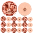 thumbnail image 2 of 50 Sets Pin Back Clutch for DIY Crafts Rose Gold Iron Material Tight Grip for Decoration, 2 of 10